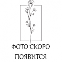 MAY MEADOV Свеча в стаканчике с крышкой  Blak Coral 130 гр